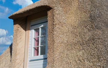 Peinlich thatch roof disadvantages